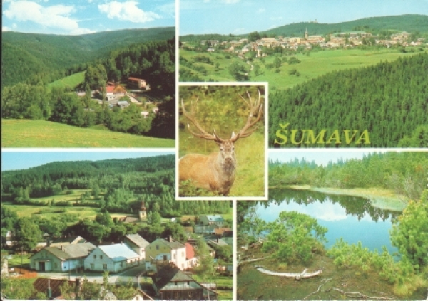 Böhmerwald 19xx 95 038 ●